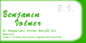 benjamin volner business card